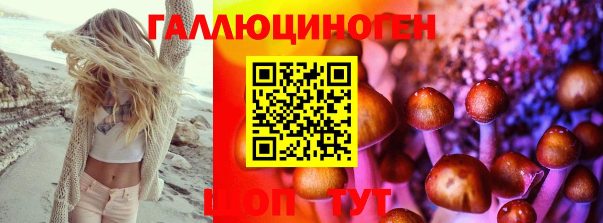 Сарапул  Псилоцибиновые грибы Psilocybe  Вход с VPN 